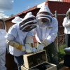 Hands On Class - Installing Bees 1 (2).jpg